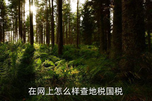 如何在國稅局網(wǎng)站進(jìn)入地稅，網(wǎng)上申報地稅具體怎么操作請高手指點
