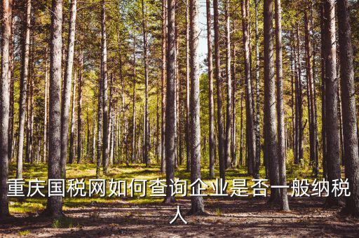 重慶國稅網如何查詢企業(yè)是否一般納稅人