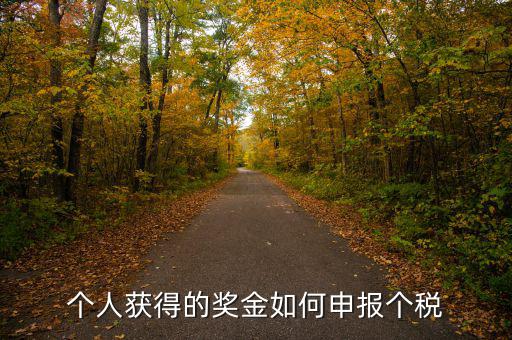 如何將獎(jiǎng)金的稅款繳納至稅務(wù)局，個(gè)人獲得的獎(jiǎng)金如何申報(bào)個(gè)稅