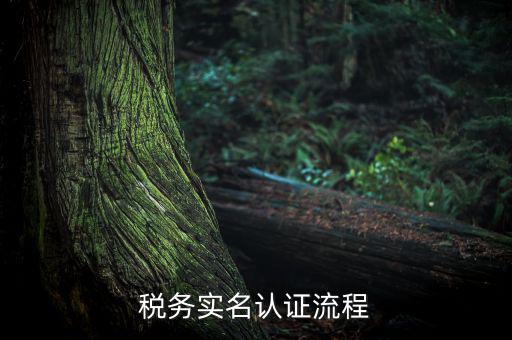 四川省稅務(wù)局如何實(shí)名采集信息，四川網(wǎng)上稅務(wù)局12366掌廳怎么實(shí)名采集掃哪個(gè)二維碼