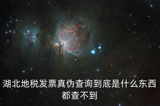 湖北地稅發(fā)票真?zhèn)尾樵?xún)到底是什么東西都查不到