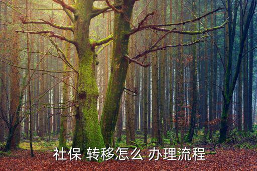  社保 轉移怎么 辦理流程