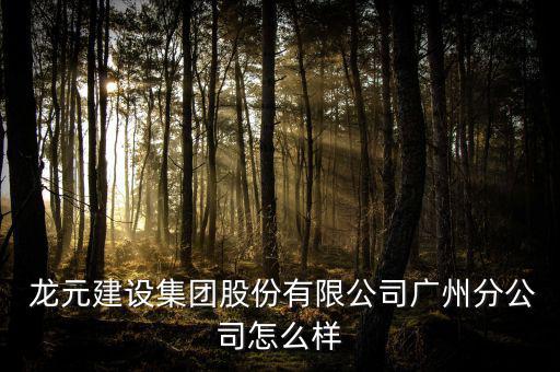 龍元建設(shè)怎么樣,龍元建設(shè)集團(tuán)有限公司廣州分公司注冊成立