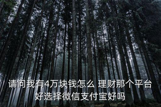 請問我有4萬塊錢怎么 理財(cái)那個(gè)平臺(tái)好選擇微信支付寶好嗎