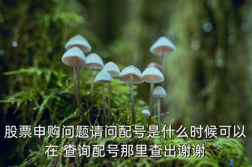 大智慧怎么查詢中簽,新股申購(gòu)須知多少?