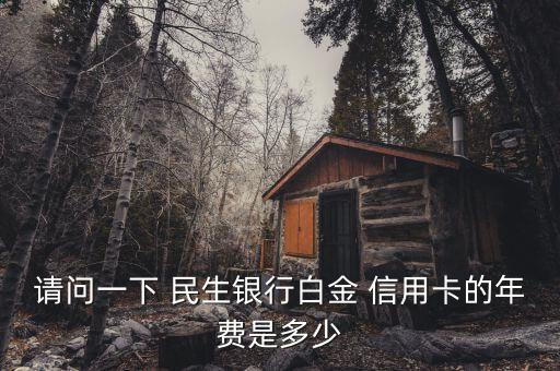 請(qǐng)問(wèn)一下 民生銀行白金 信用卡的年費(fèi)是多少
