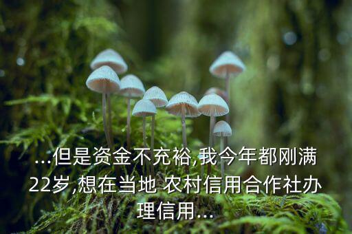 怎么可以在農(nóng)村吸儲(chǔ),中國(guó)農(nóng)村信用社存款安全無風(fēng)險(xiǎn)
