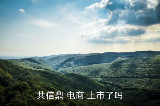 電商怎么上市,南極電商在納斯達(dá)克上市騰訊、慧聰網(wǎng)香港上市