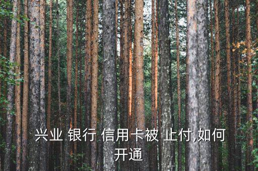  興業(yè) 銀行 信用卡被 止付,如何開(kāi)通