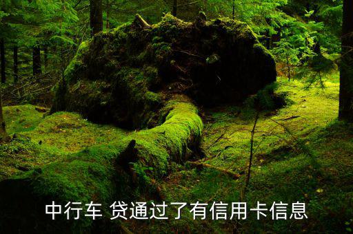 中國銀行車貸通怎么樣,中國汽車貸款流程