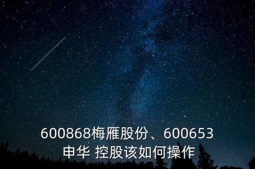 600868梅雁股份、600653 申華 控股該如何操作