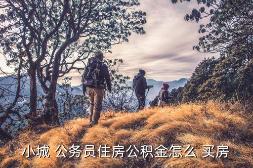 廣州公務(wù)員怎么買(mǎi)房,小鎮(zhèn)公務(wù)員或通過(guò)住房公積金貸款買(mǎi)房