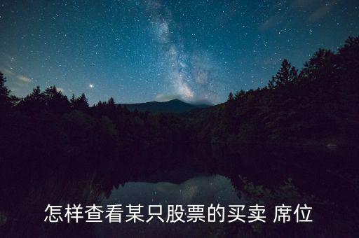 怎樣查看某只股票的買(mǎi)賣(mài) 席位