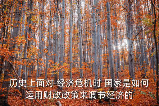 歷史上面對(duì) 經(jīng)濟(jì)危機(jī)時(shí) 國(guó)家是如何運(yùn)用財(cái)政政策來調(diào)節(jié)經(jīng)濟(jì)的