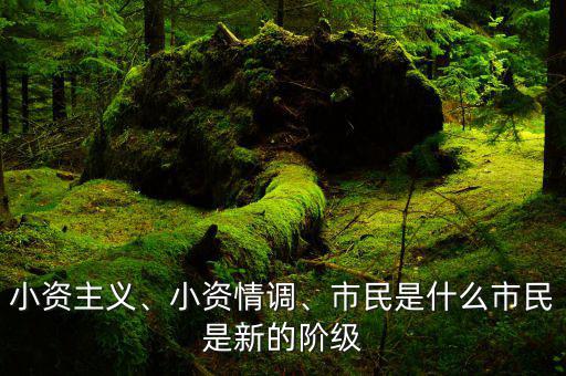 小資主義、小資情調(diào)、市民是什么市民是新的階級(jí)