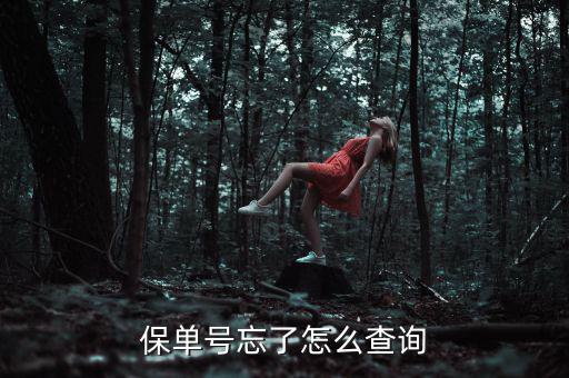 保單號(hào)忘了怎么查詢(xún)