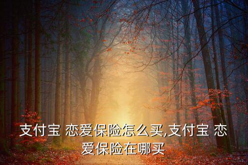 支付寶 戀愛(ài)保險(xiǎn)怎么買,支付寶 戀愛(ài)保險(xiǎn)在哪買