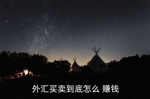  外匯買(mǎi)賣(mài)到底怎么 賺錢(qián)