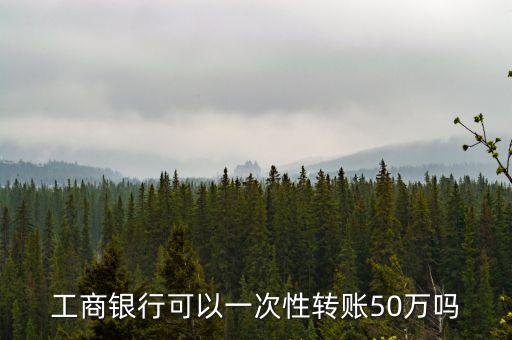 工商銀行可以一次性轉(zhuǎn)賬50萬嗎