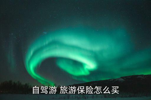 自駕游 旅游保險(xiǎn)怎么買(mǎi)