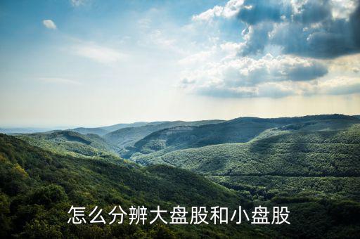 怎么分辨大盤(pán)股和小盤(pán)股