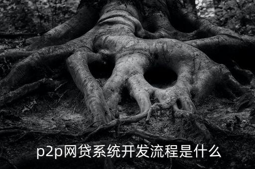  p2p網(wǎng)貸系統(tǒng)開(kāi)發(fā)流程是什么