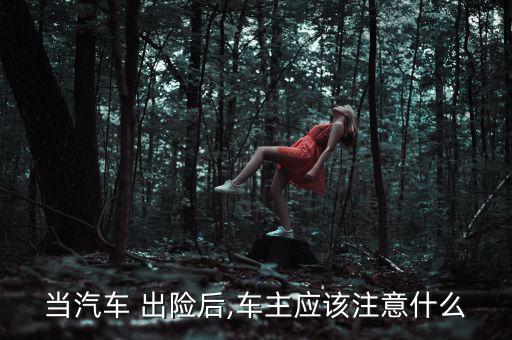 當汽車 出險后,車主應該注意什么