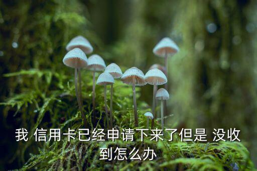 我 信用卡已經申請下來了但是 沒收到怎么辦