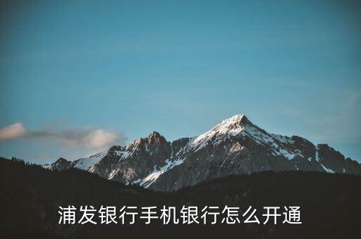 普發(fā)寶怎么買(mǎi),普發(fā)寶現(xiàn)金管理增值服務(wù)收入不怎么樣!