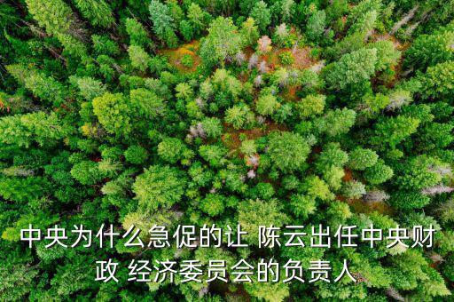 中央為什么急促的讓 陳云出任中央財政 經(jīng)濟委員會的負責人
