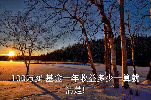 100萬(wàn)買(mǎi) 基金一年收益多少一算就清楚!