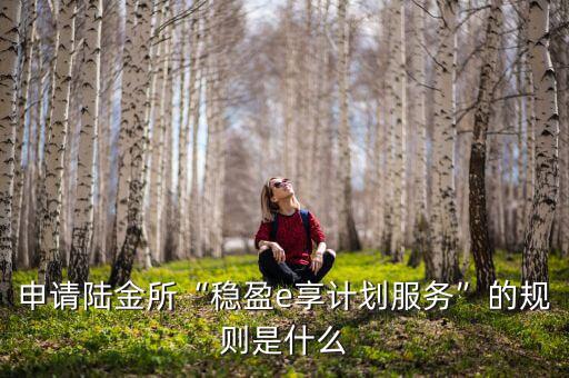 申請陸金所“穩(wěn)盈e享計劃服務(wù)”的規(guī)則是什么