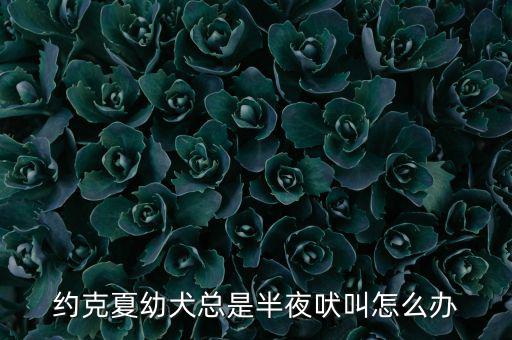 約克夏幼犬總是半夜吠叫怎么辦