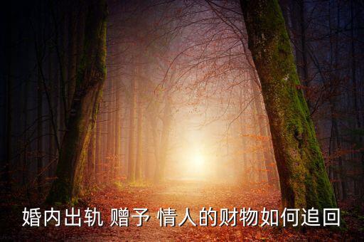 現(xiàn)金贈(zèng)予情人不承認(rèn)怎么辦,【老公給情人出軌的錢(qián)可以請(qǐng)求返還