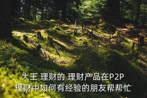  大王 理財的 理財產品在P2P 理財中如何有經驗的朋友幫幫忙