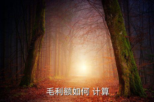  毛利額如何 計(jì)算