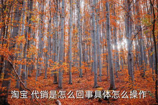 天貓代銷怎么樣,淘寶貨源代理銷售有何優(yōu)勢和弊端?