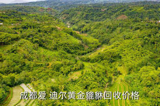 愛迪爾千足金怎么樣,黃金現(xiàn)貨價(jià)格:257.64萬(wàn)人民幣/克