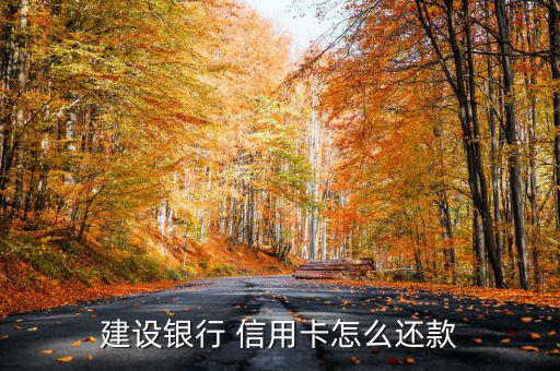 建設銀行 信用卡怎么還款
