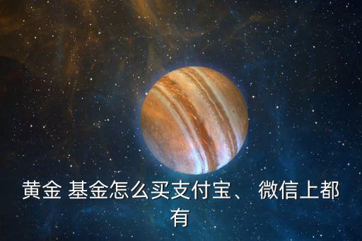 黃金 基金怎么買支付寶、 微信上都有