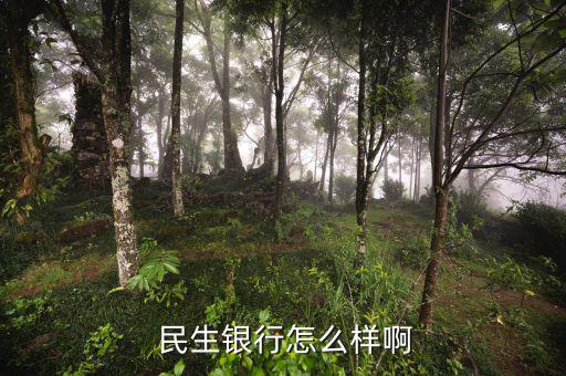 民生銀行云柜員怎么樣,中國(guó)民生銀行昆明分公司處于開業(yè)狀態(tài)