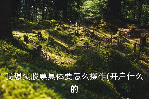 我想買(mǎi)股票具體要怎么操作(開(kāi)戶什么的