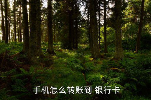  手機(jī)怎么轉(zhuǎn)賬到 銀行卡