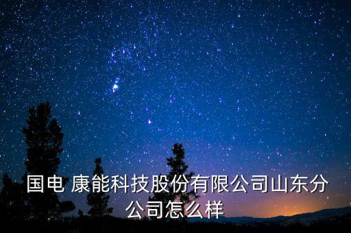 國電康能怎么樣,國電康能科技有限公司山東分公司注冊(cè)成立