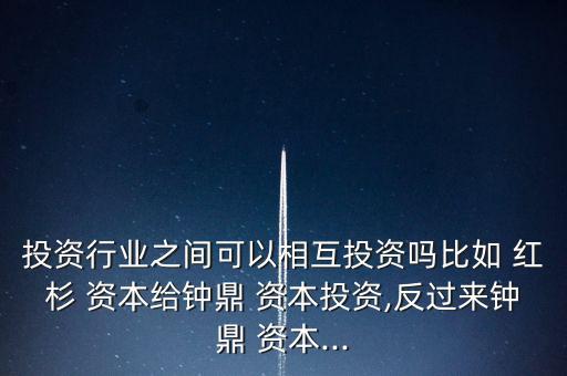 投資行業(yè)之間可以相互投資嗎比如 紅杉 資本給鐘鼎 資本投資,反過(guò)來(lái)鐘鼎 資本...