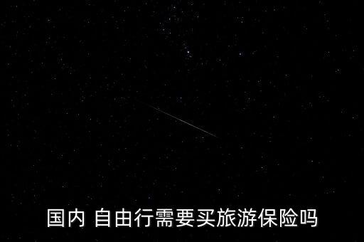 國內 自由行需要買旅游保險嗎