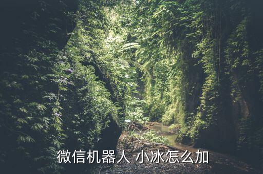  微信機器人 小冰怎么加