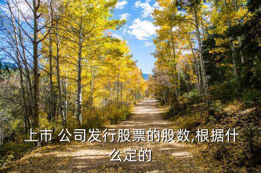  上市 公司發(fā)行股票的股數,根據什么定的