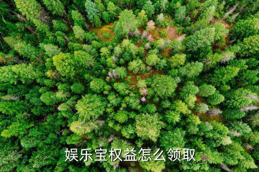  娛樂寶權(quán)益怎么領取