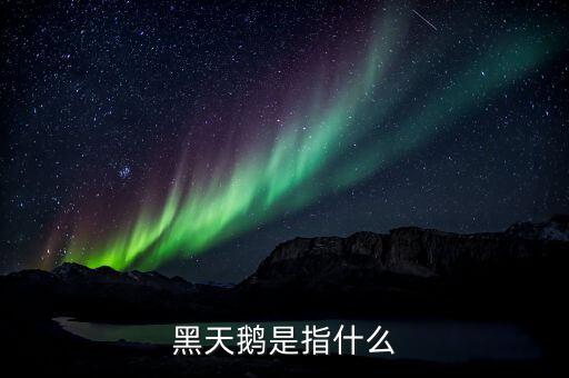 股票黑天鵝是什么意思，黑天鵝事件是什么意思